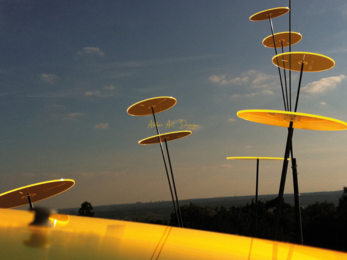 Cazador-del-sol ® Jaune