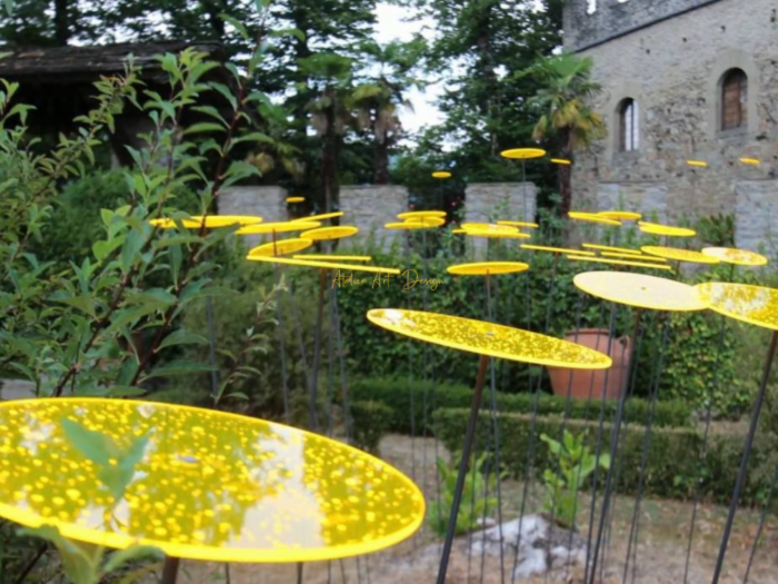 Cazador-del-sol ® Jaune – Image 5